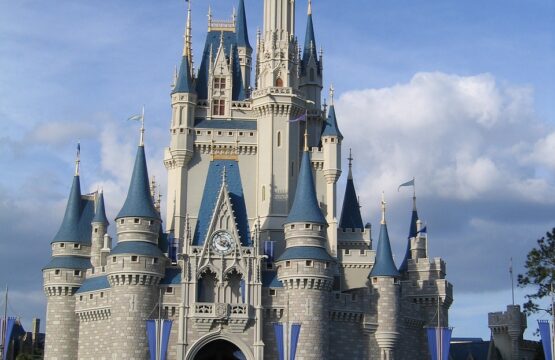 Image of the Disney World Resort castle