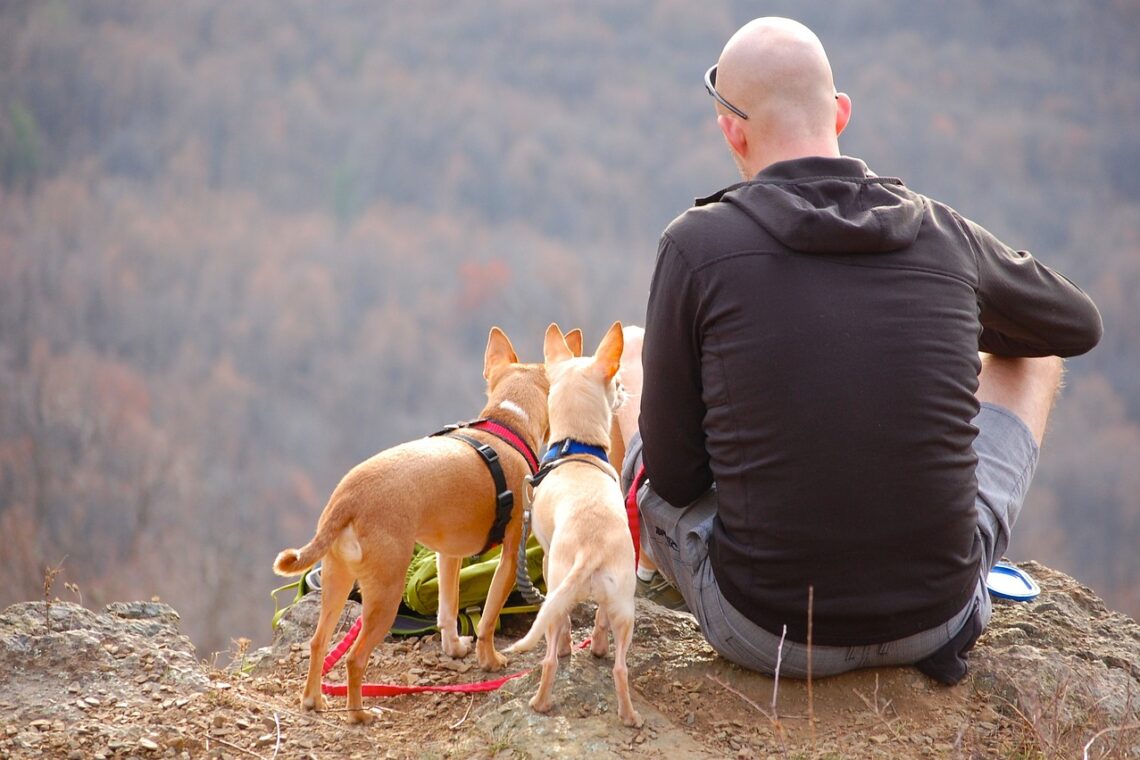 Man sitting on a cliff with two dogs