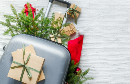 travel gift guide
