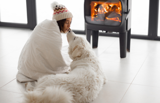 pet-friendly winter rentals