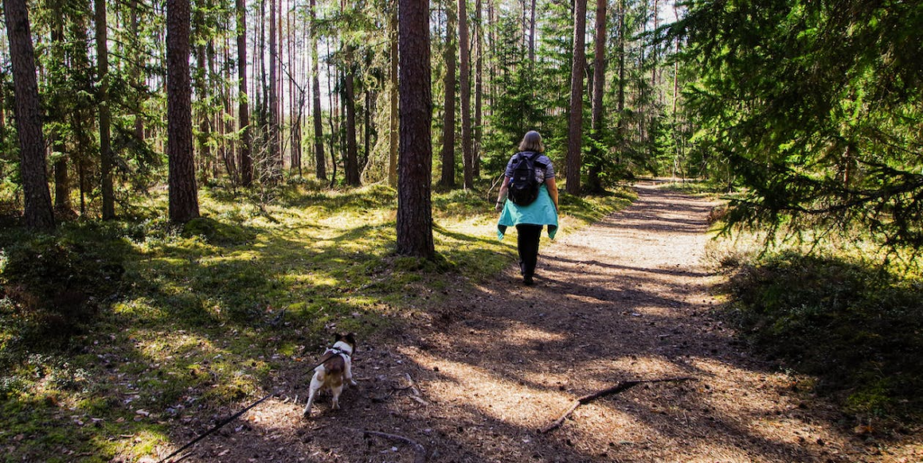 dog-friendly getaways - hiking