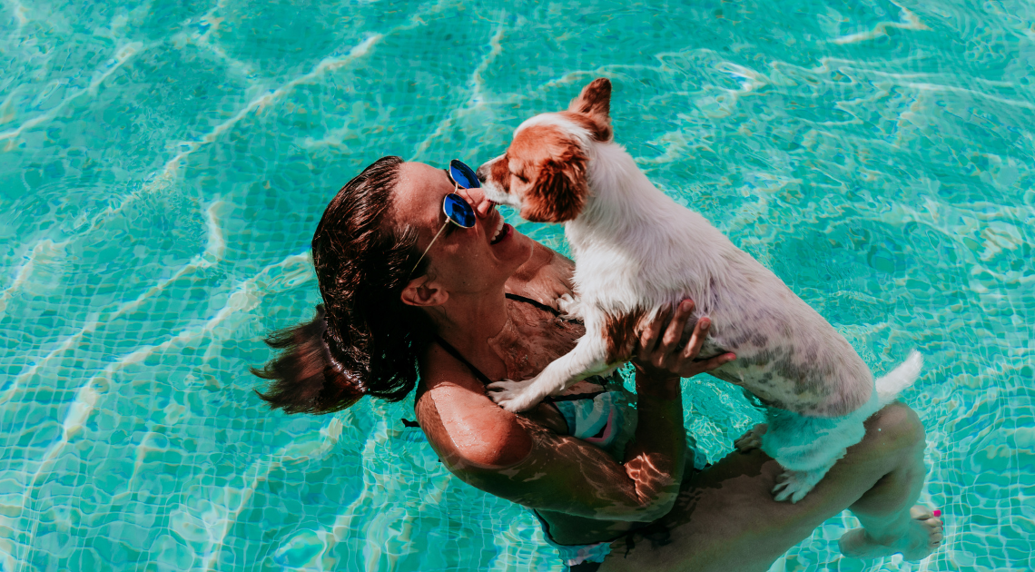 pet-friendly vacation homes with pools