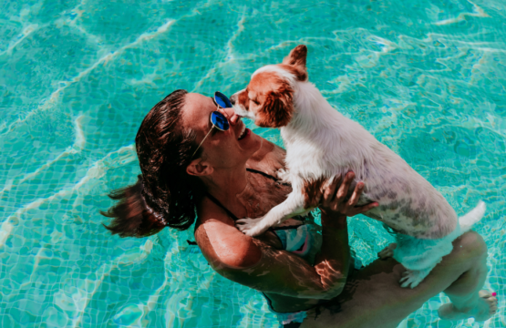 pet-friendly vacation homes with pools