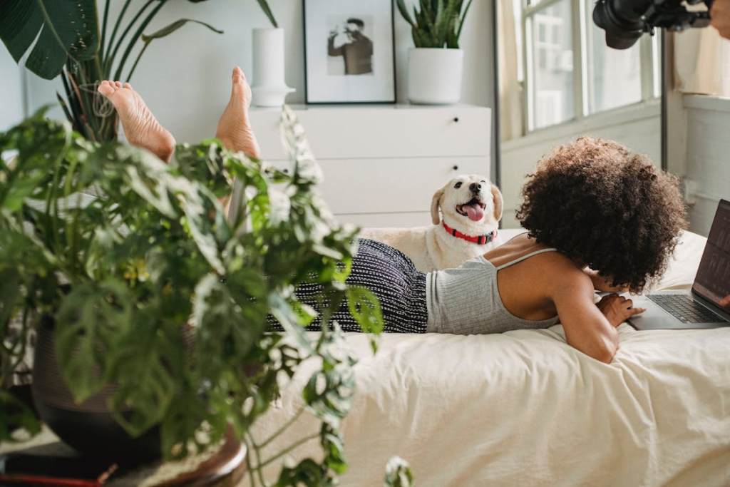 Pet-Friendly Rental Properties | Overcoming Challenges - RFH