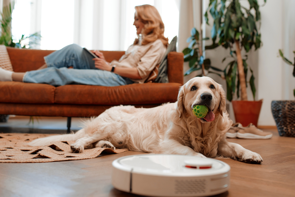 Pet-Friendly Rental Properties: Common Challenges and How to Overcome Them