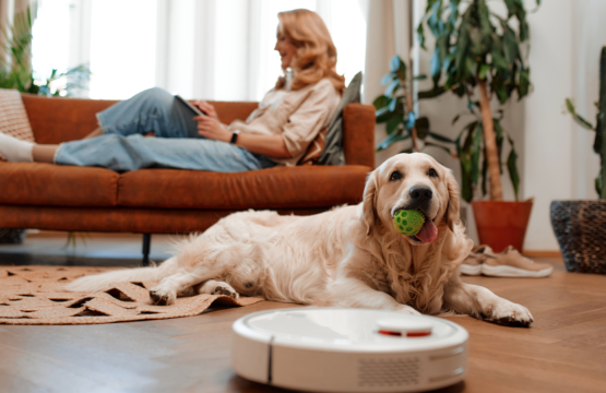 Pet-Friendly Rental Properties: Common Challenges and How to Overcome Them