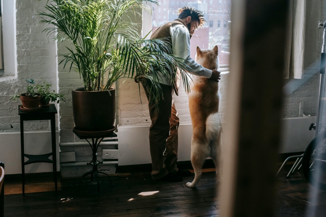 Rental Properties Pet-Friendly in Tight Markets: How to Stand Out as a Renter This 2025