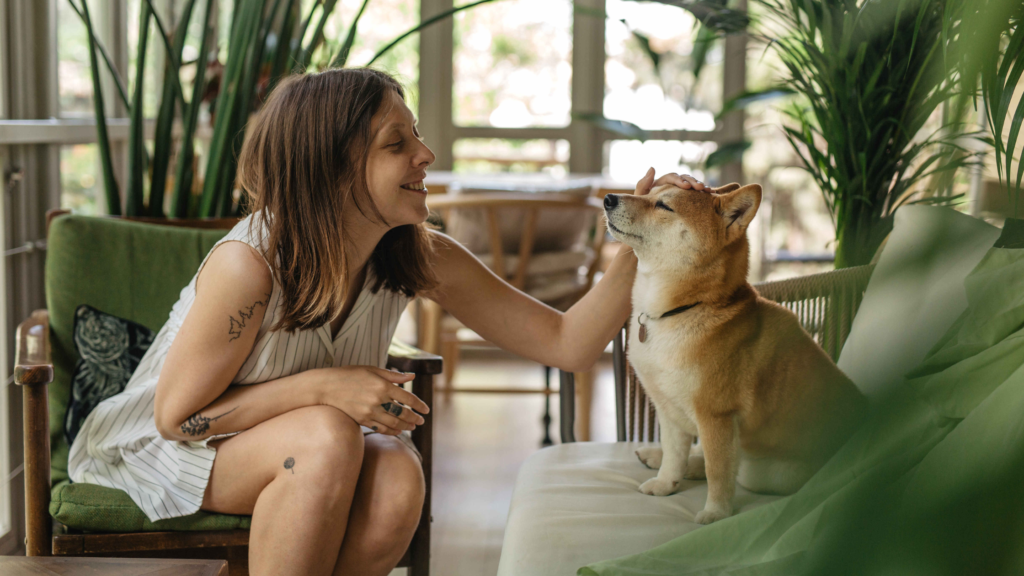  Pet-Friendly Rental Property | Best for Teachers - RFH
